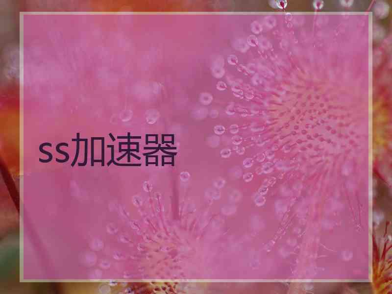 ss加速器 ss加速器