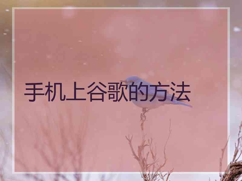 手机上谷歌的方法