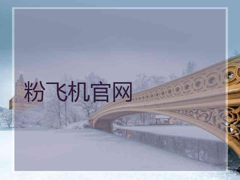 粉飞机官网