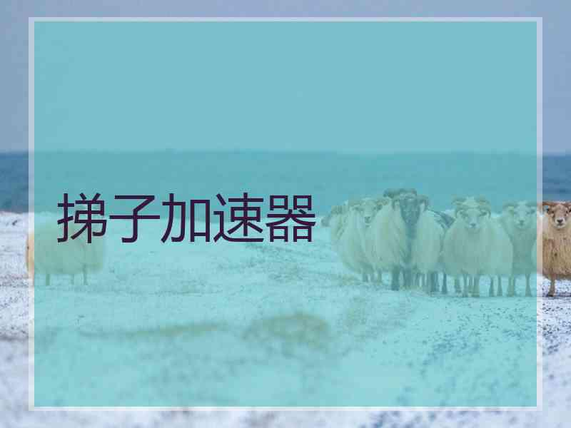 挮子加速器