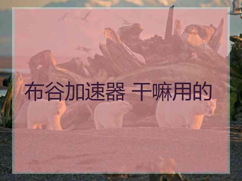 布谷加速器 干嘛用的