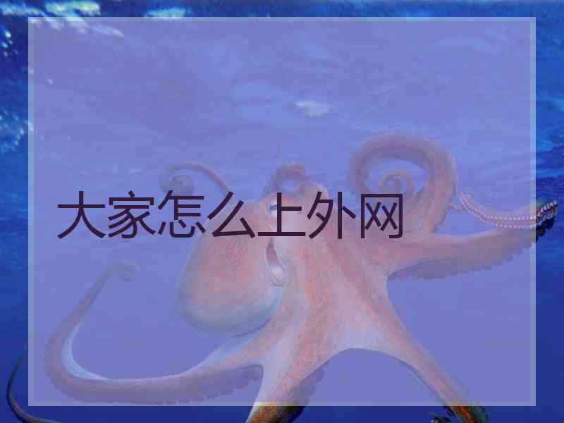 大家怎么上外网