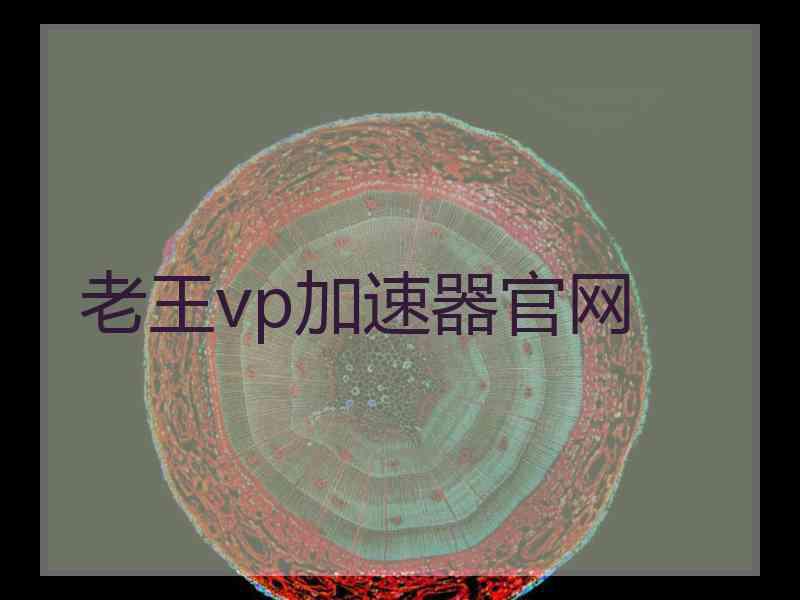 老王vp加速器官网