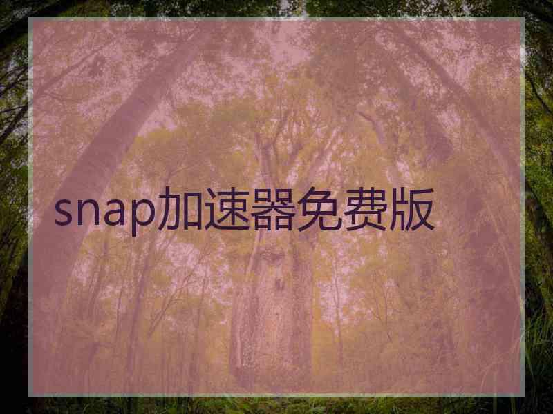 snap加速器免费版