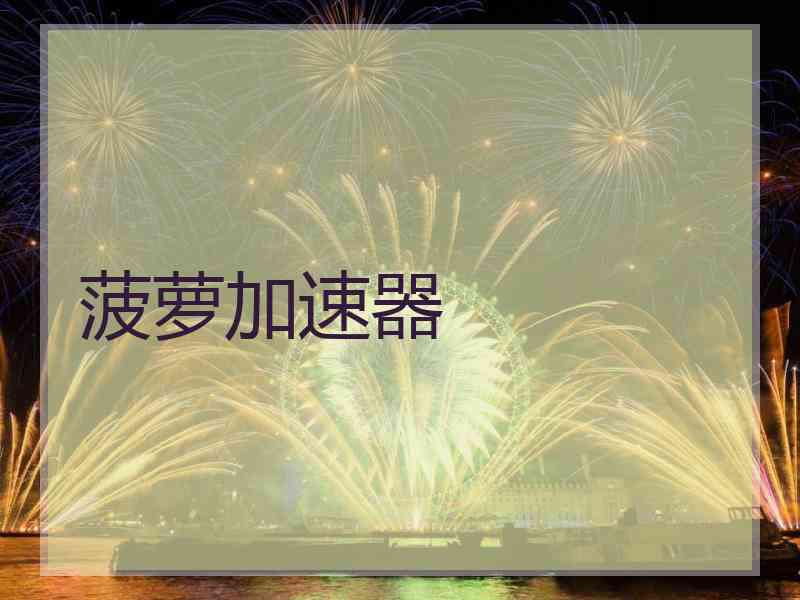 菠萝加速器
