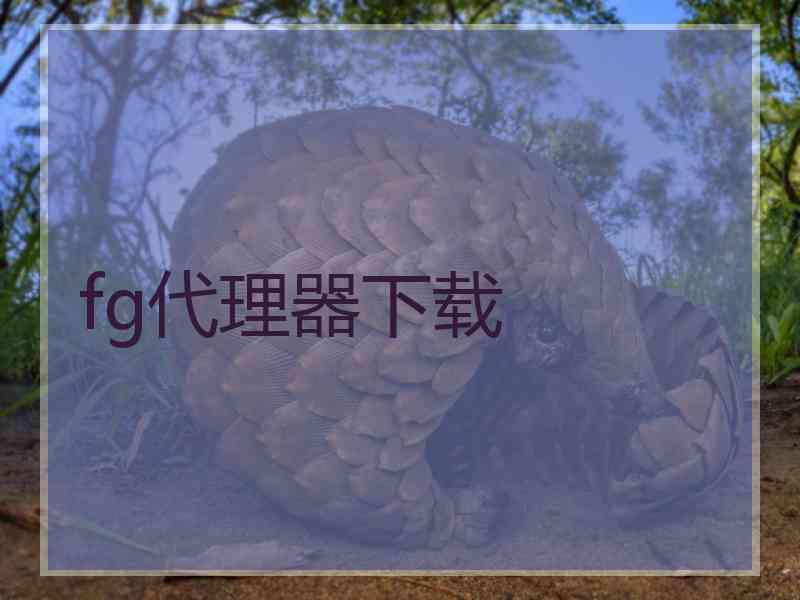fg代理器下载