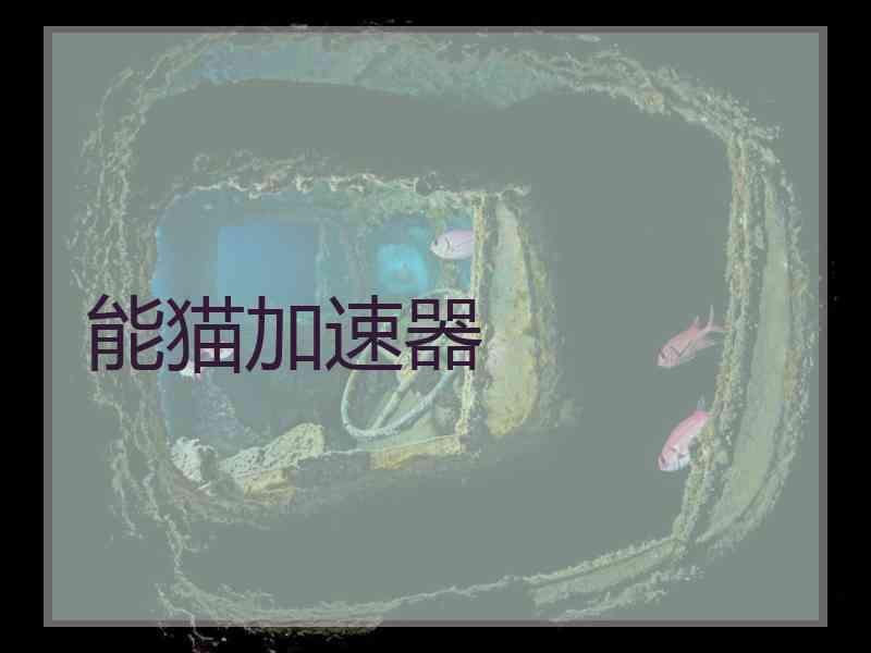 能猫加速器