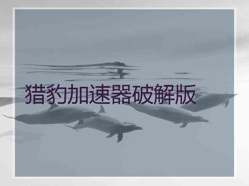 猎豹加速器破解版