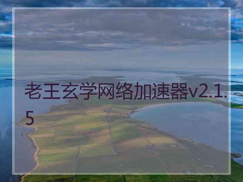 老王玄学网络加速器v2.1.5