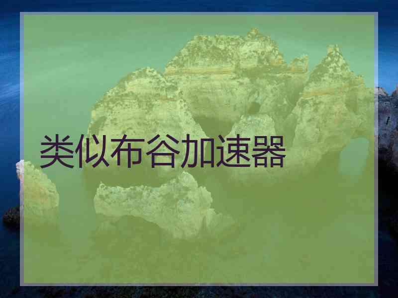 类似布谷加速器