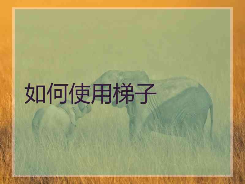 如何使用梯子