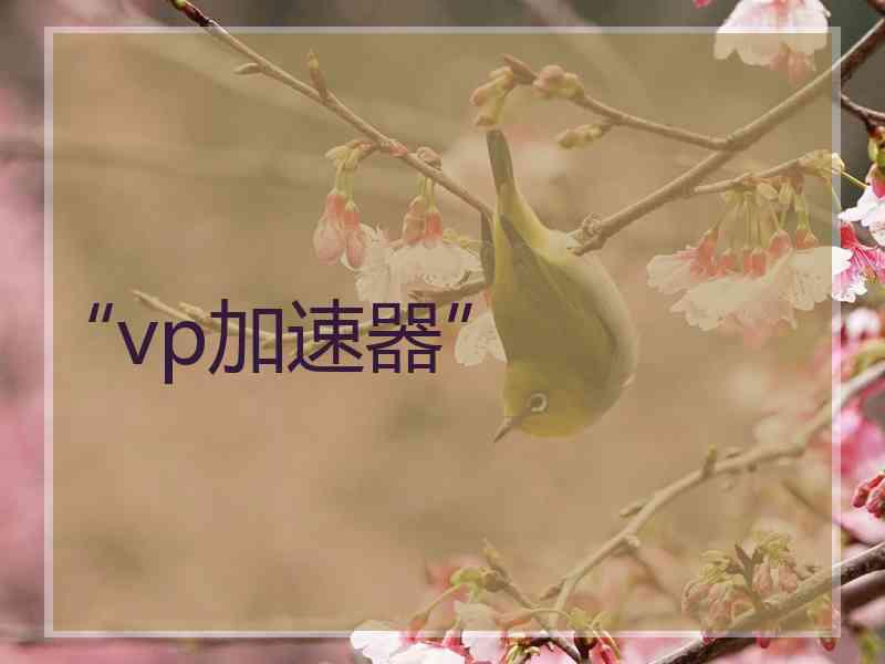 “vp加速器”