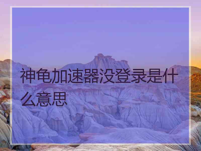 神龟加速器没登录是什么意思
