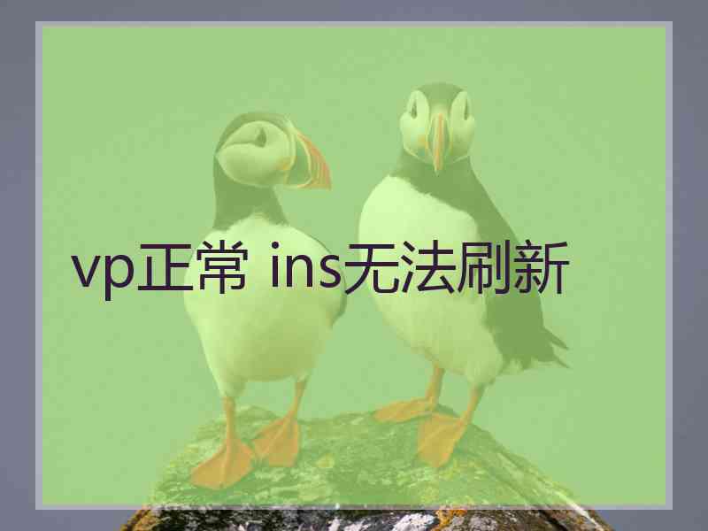 vp正常 ins无法刷新