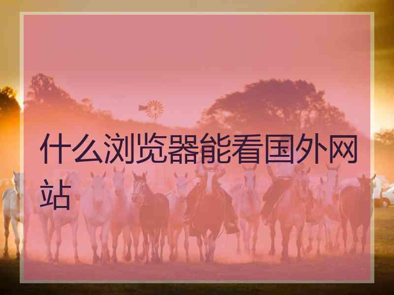 什么浏览器能看国外网站