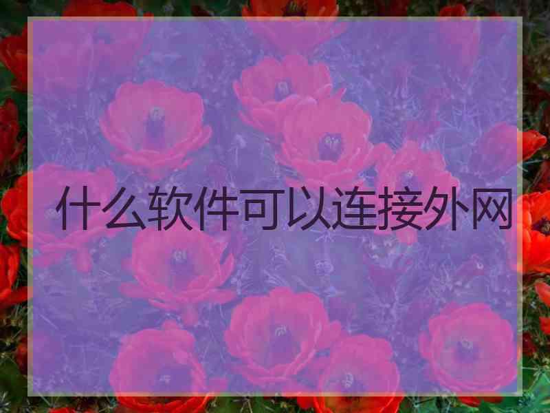 什么软件可以连接外网