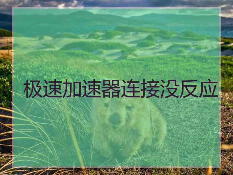 极速加速器连接没反应