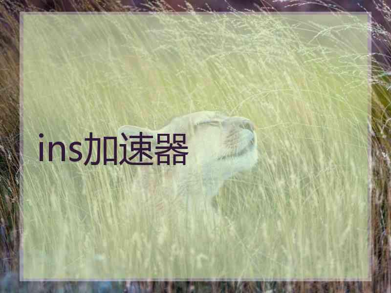 ins加速器