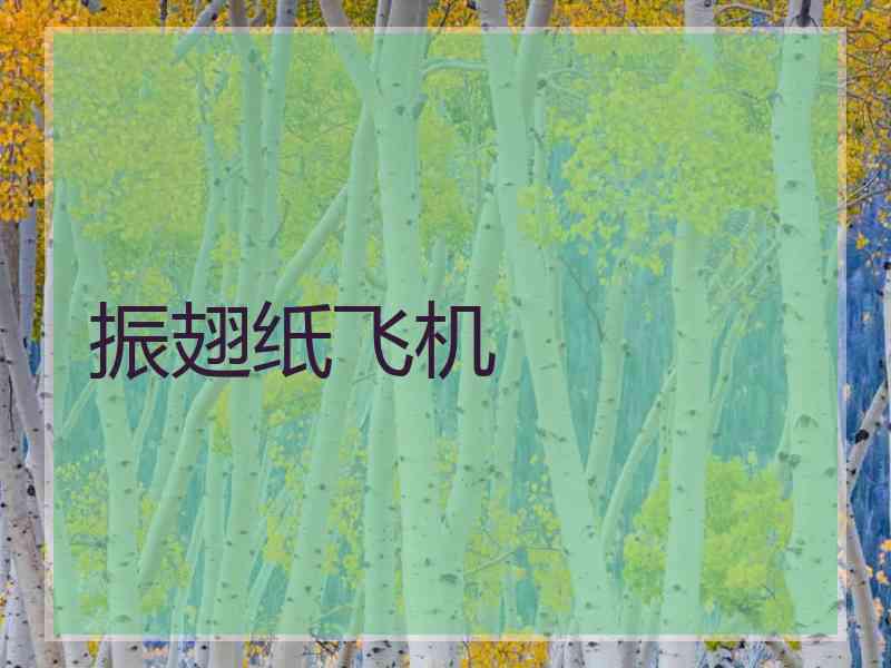 振翅纸飞机