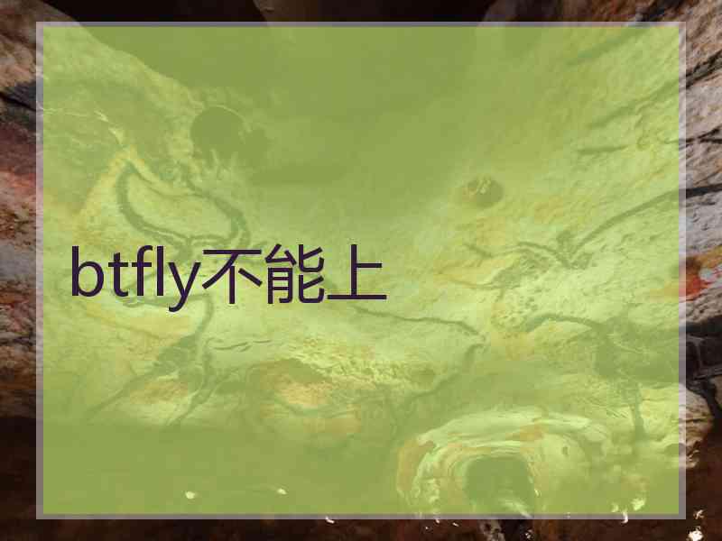 btfly不能上