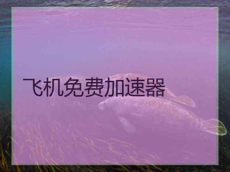 飞机免费加速器