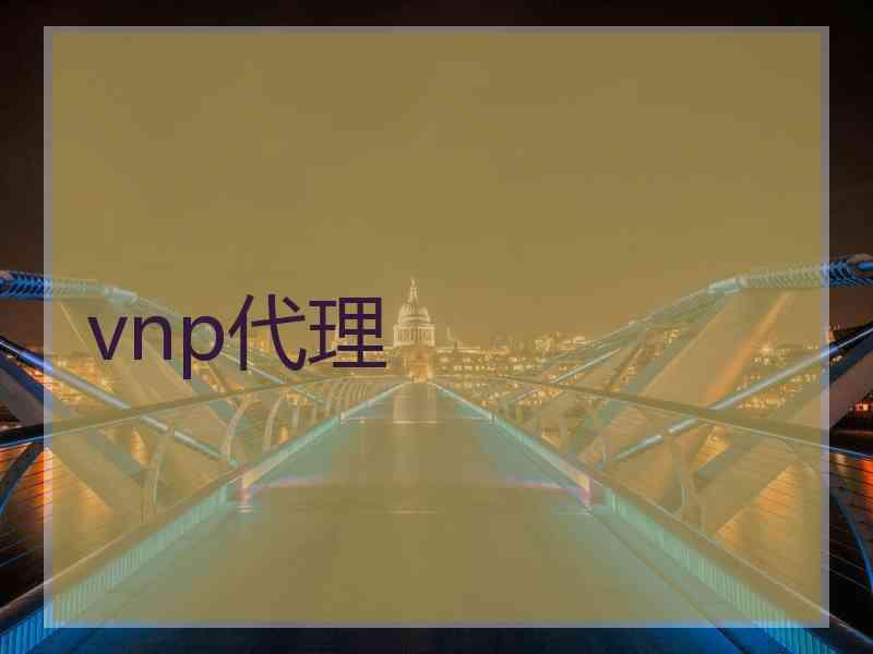vnp代理