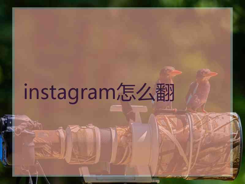 instagram怎么翻