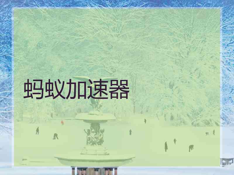 蚂蚁加速器