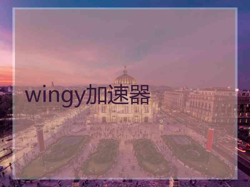 wingy加速器
