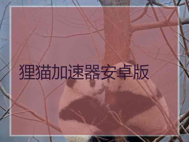 狸猫加速器安卓版