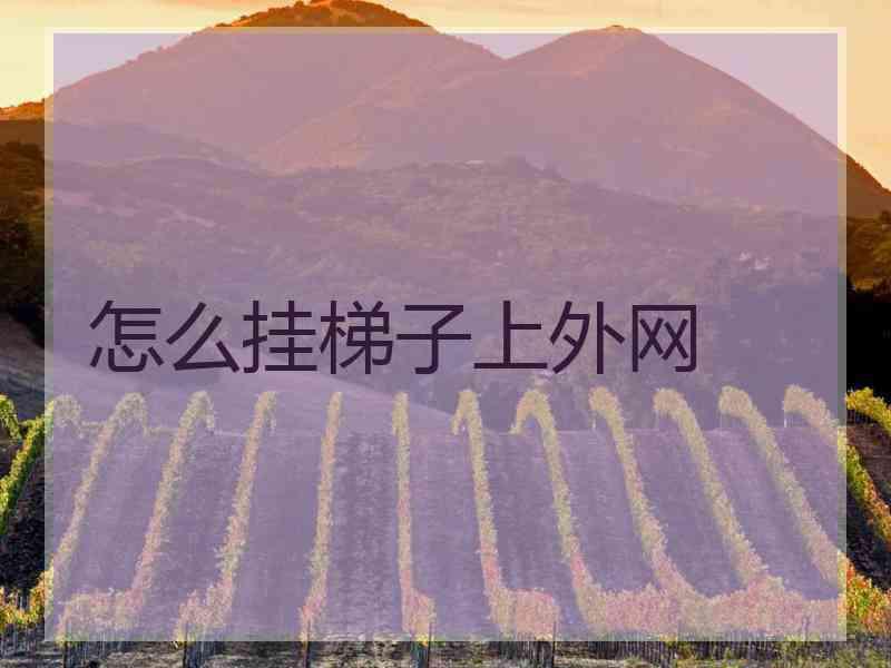 怎么挂梯子上外网