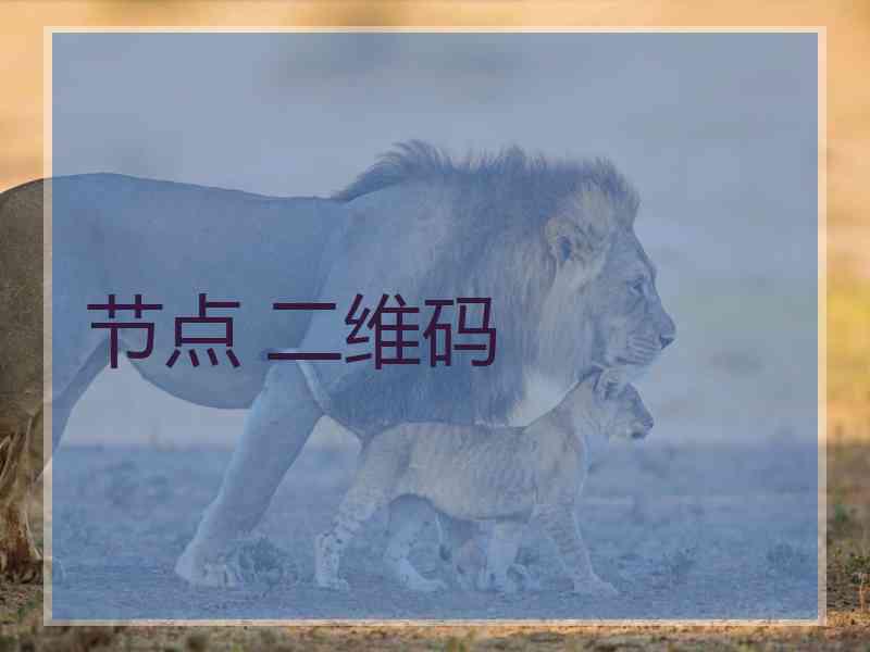 节点 二维码