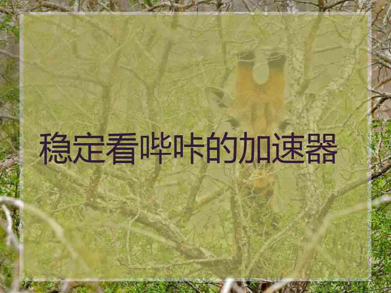 稳定看哔咔的加速器