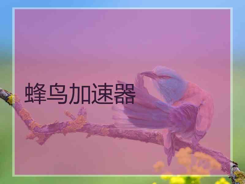 蜂鸟加速器