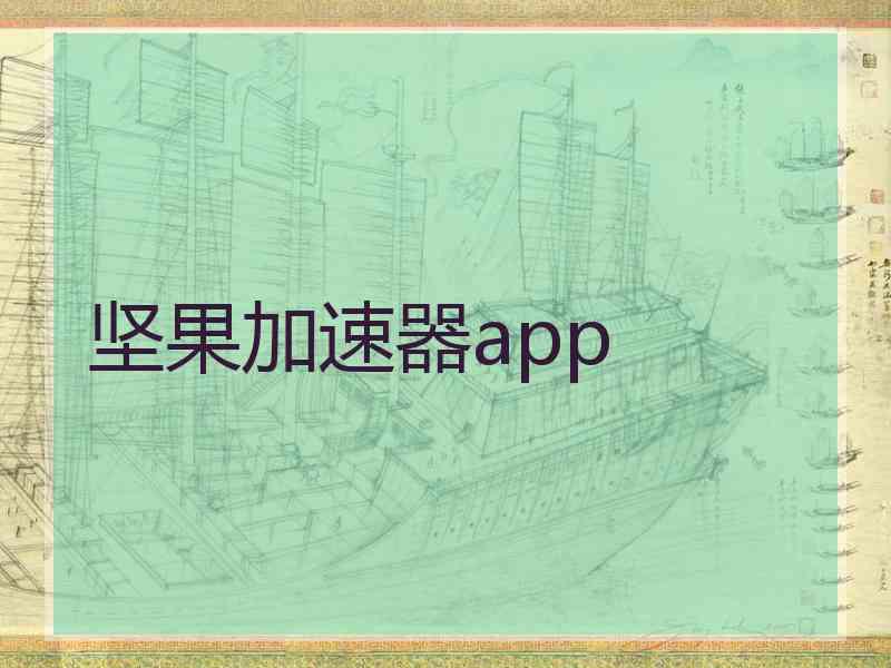 坚果加速器app