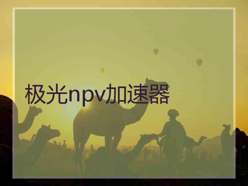 极光npv加速器